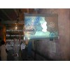 sd高透全息投影膜 深圳市時代中視科技發展有限公司