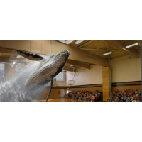 韓國進口全息膜  虛擬成像 全息投影膜 幻影成像幕