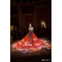 全息投影紗幕 4D宴會廳婚禮秀方案設計施工運營供應商