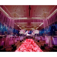 供應深圳進口全息紗幕 無縫全息紗幕 電動紗幕定制