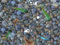 山東濟(jì)南全息展柜，全息膜，沉浸式花海餐廳，互動(dòng)投影游戲