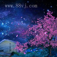 花草樹木，夢幻叢林，森林全息投影素材，夢幻浪漫素材