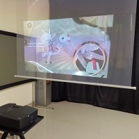 全息正投膜批發(fā)，日本彩美透明正投膜