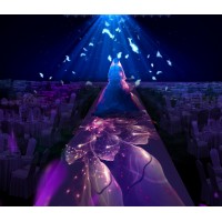 全息宴會(huì)廳浸式投影，全息創(chuàng)意婚禮，全息3D婚宴
