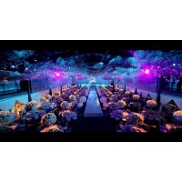 全息投影紗幕，舞臺高清成像幕布